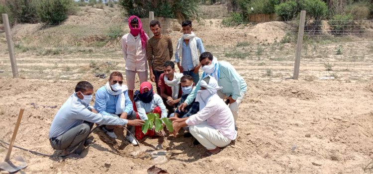 प्रकृति को बचाना मानव का पहला धर्म दो सो पौधें लगाएं