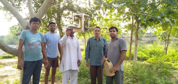 गोगा बाबा मंदिर हमीदपूर मे पक्षियों के लिए परिण्डे लगाए