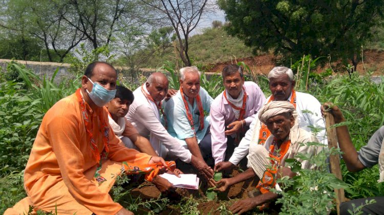 भाजपा कार्यकर्ताओं ने डॉ श्यामा प्रसाद मुखर्जी की जयंती के उपलक्ष में किया पौधारोपण