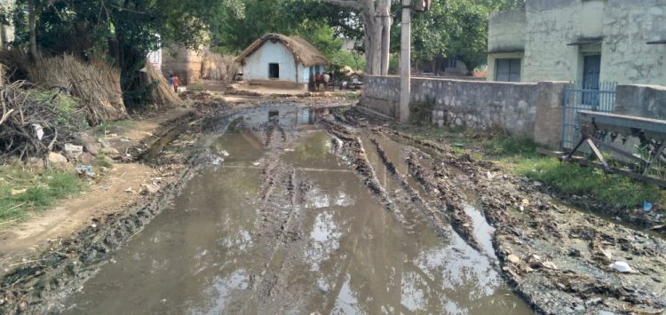 आम रास्ते में व्याप्त गंदगी से ग्रामीण परेशान, मंत्री से भी लगा चुके गुहार