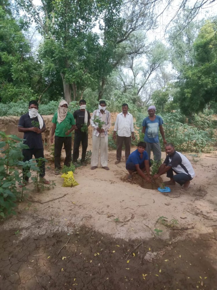 हरा भरा हो गांव हमारा, नरेगा महाव्रक्षारोपण वार्षिकोंत्सव के तहत किया पौधरोपण