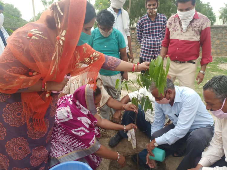 भामाशाह सोनू जैन ने किया अतिरिक्त जिला कलेक्टर, उपखण्ड अधिकारी व तहसीलदार के नेतृत्व में वृक्षारोपण