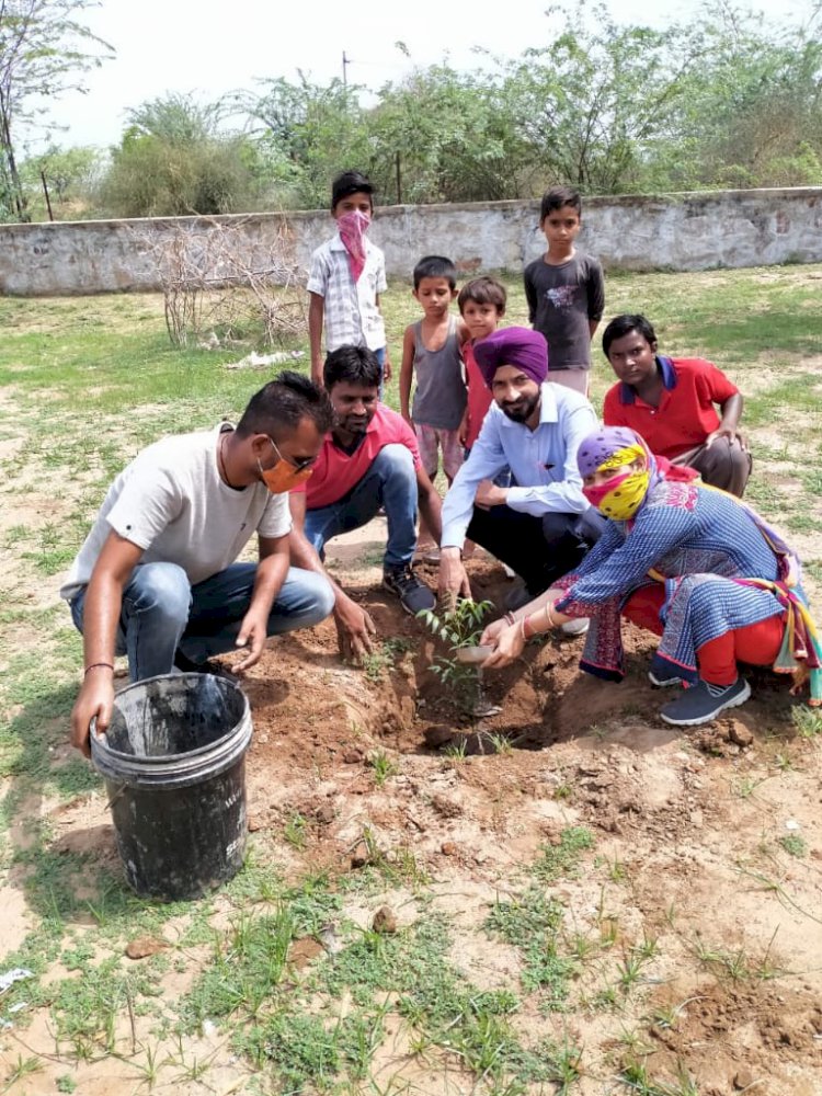 हमीरवास विद्यालय परिसर मे किया वृक्षारोपण