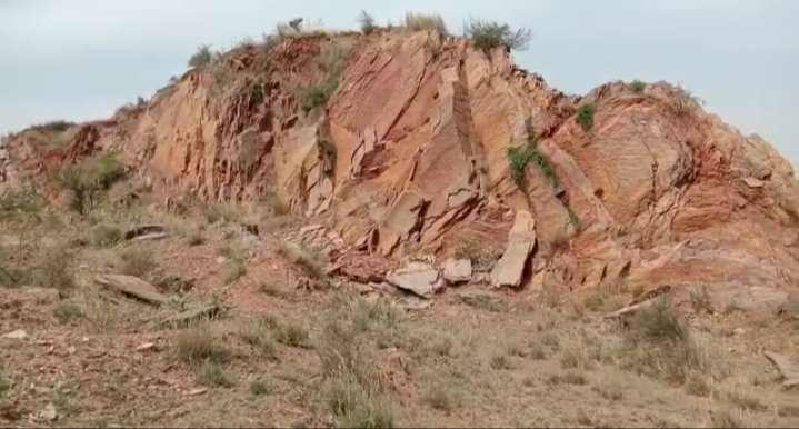 डीग उप खंड के वन संरक्षित क्षेत्र में बड़े पैमाने पर चल रहा है अवैध खनन