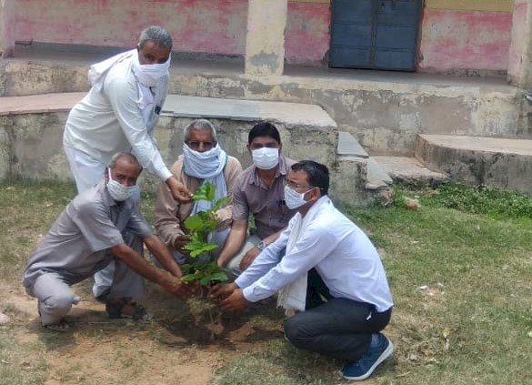 विधालय में वृक्षारोपण कर ग्रामीणों को किया प्रेरित, SDMC की बैठक हुई आयोजित