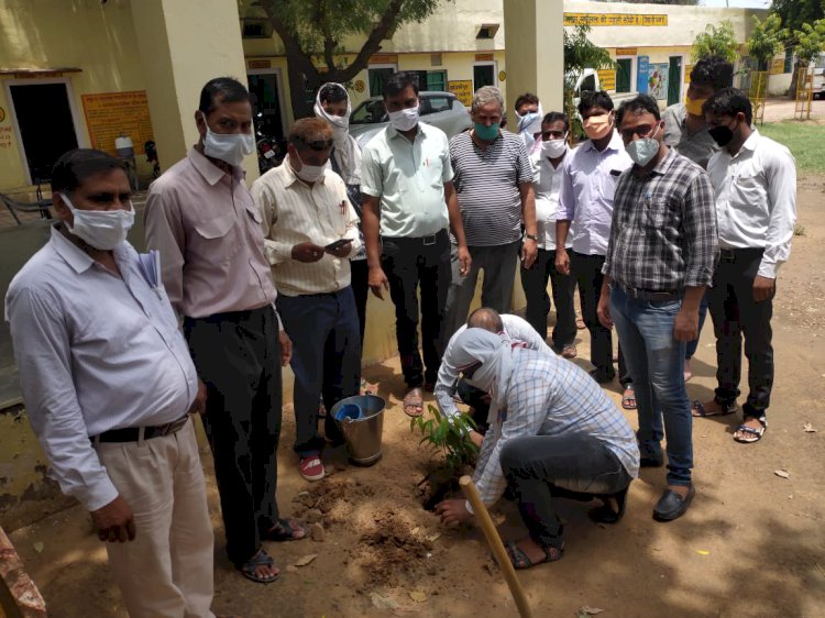 पर्यावरण संतुलन के लिए हरियाली अमावस्या के अवसर पर किया वृक्षारोपण