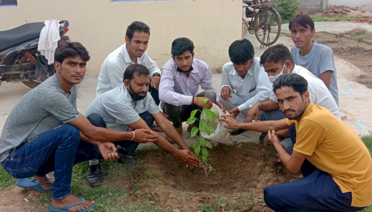 पर्यावरण संरक्षण के लिए पौधारोपण जरूरी, हुआ पौधरोपण कार्यक्रम आयोजित