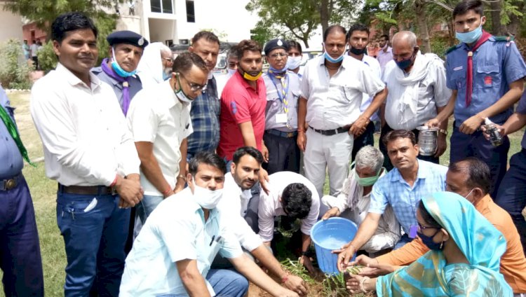 ग्रामीण पर्यावरण विकास समिति द्वारा ब्लॉक स्तरीय कोरोना योद्धा सम्मान समारोह का किया गया आयोजन