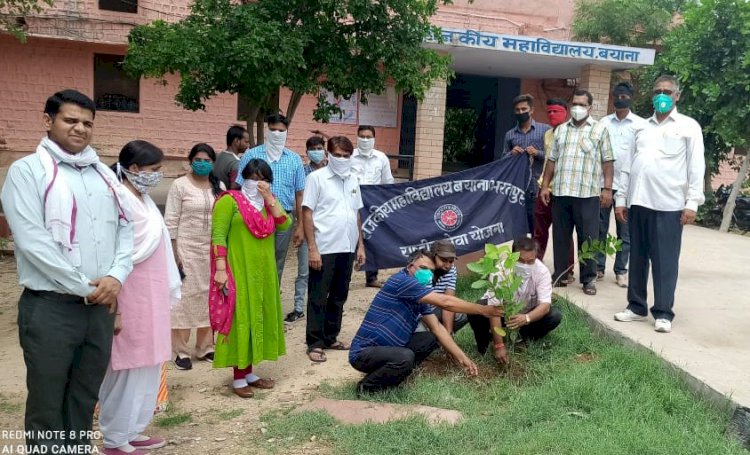 राष्ट्रीय सेवा योजना ने वृक्षारोपण कर वन महोत्सव का शुभारंभ किया