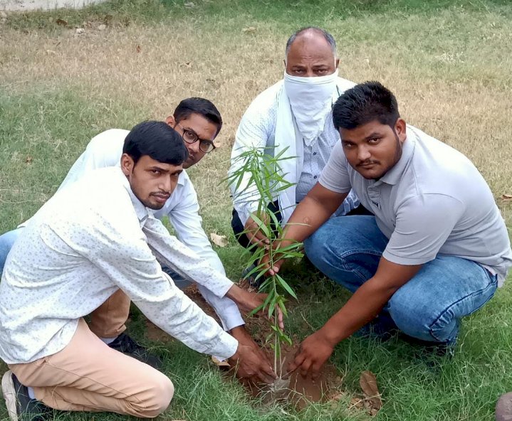 पेड़ पर्यावरण संतुलन का आधार है लुपिन कार्यालय परिसर मे किया वृक्षारोपण