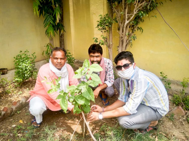 भारतीय विकास मोर्चा ने किया पौधारोपण