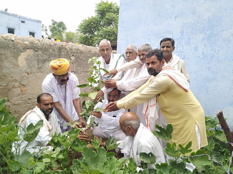 पर्यावरण को शुद्ध रखने के लिए अधिक से अधिक पेड़ लगाएं  अजीत सिंह  महुआ