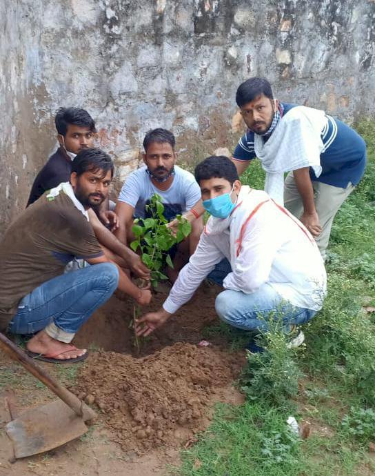 यूथ कॉंग्रेस के कार्यकर्ताओ ने राष्ट्रीय सचिव जुबेर खान के जन्मदिन पर किया वृक्षारोपण