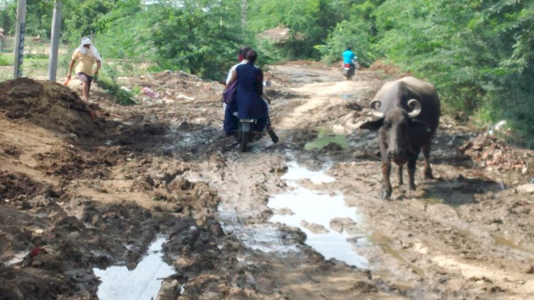 पाइपलाइन डालने के लिए खोदे गड्डे, उबड़ खाबड़ रास्तों में तब्दील हुई सड़क, फस कर वाहन हो रहे दुर्घटनाग्रस्त