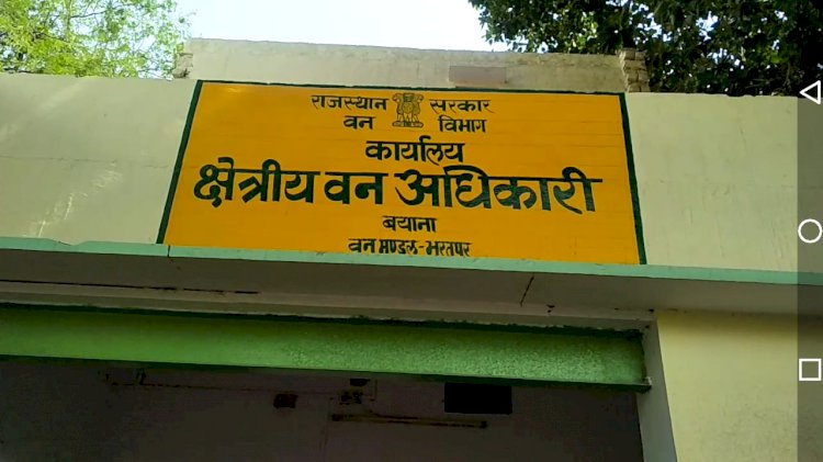 बाईक शोरूम में निकला भुजंग तो मचा हडकम्प