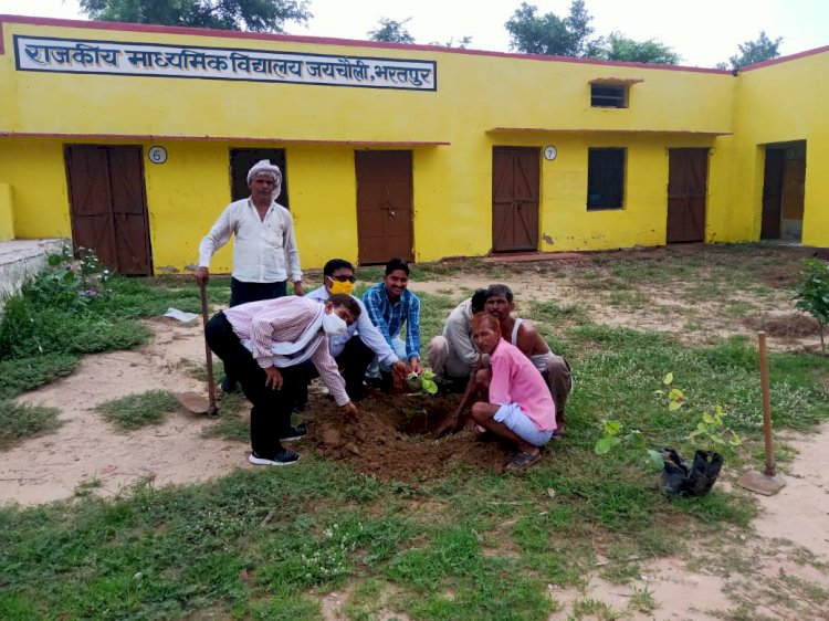 150 पौधे लगाकर पालन पोषण की ली जिम्मेदारी