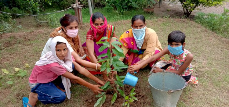 आवासीय विद्यालय में लगाए पौधे