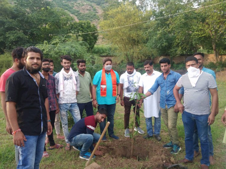 बीजेपी युवा मोर्चा द्वारा मीटिंग व पौधारोपण किया