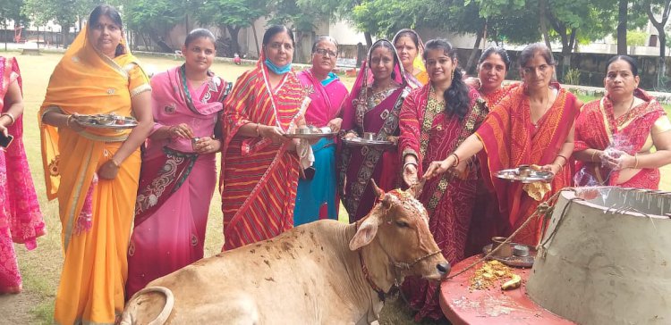 परिवार की खुशहाली एवं दीर्घायु होने की कामना के साथ बछ बारस पर महिलाओं ने की बछड़े व गाय की पूजा