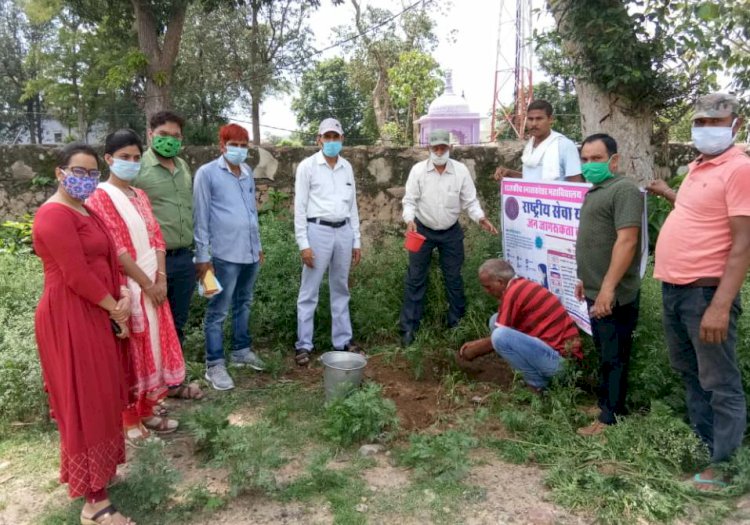 राष्ट्रीय सेवा योजना स्नातकोत्तर की चारो इकाई द्रारा पौधा रोपण