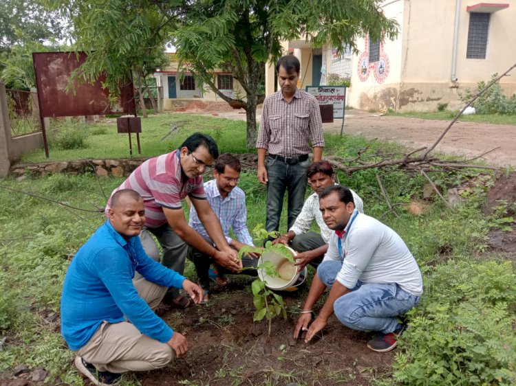 पर्यावरण संरक्षण को लेकर सीएससी परिसर में लगाए पौधे