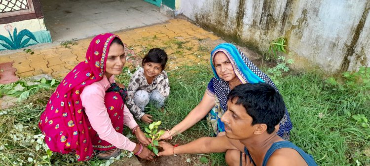 पर्यावरण संरक्षण को लेकर आंगनवाड़ी केंद्र में लगाए पौधे