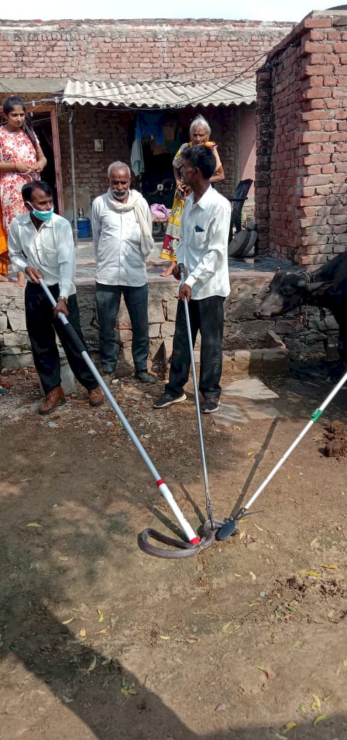 वनविभाग की टीम ने सांपों का किया रेस्क्यू