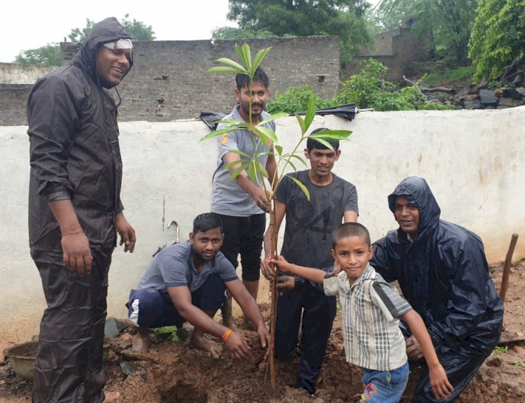 पांसल में गाडरी समाज सेवा संस्था में किया पौधारोपण