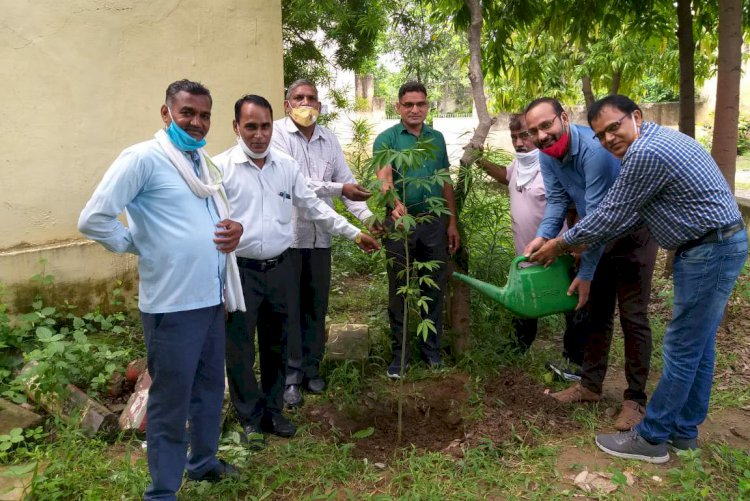 प्रकृति प्रेमियो ने वृक्षारोपण कर प्रकृति सरंक्षण का लिया सकंल्प