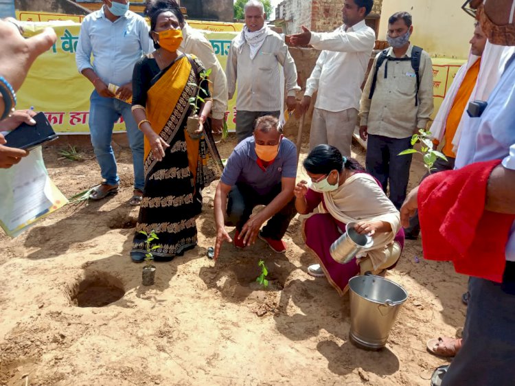 पौधारोपण व जनजागरूकता कार्यक्रम का आयोजन