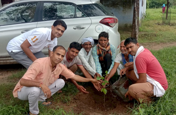 पर्यावरण संरक्षण को लेकर मंदिर परिसर में लगाए पौधे