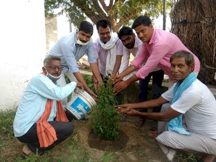 पूर्व प्रधान राजेंद्र मीण  के जन्मदिन पर वृक्षारोपण कर गौ माताओं को हरा चारा गुड़  खिलाकर गरीबों को बांटे फल