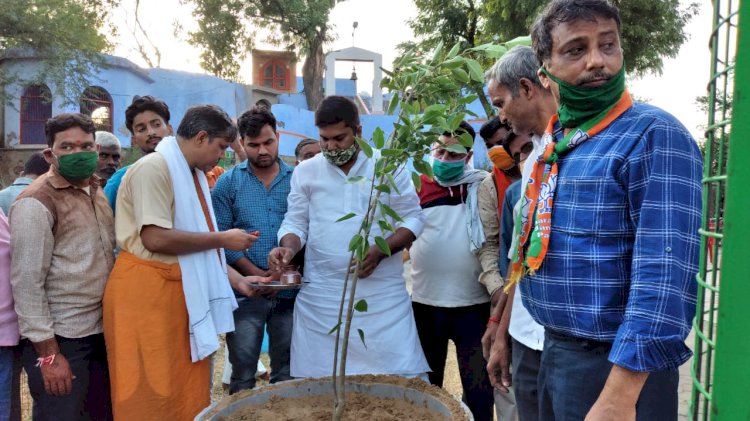 पूर्व मंत्री डॉ दिगंबर सिंह के जन्मदिवस पर कार्यकर्ताओं ने किया पौधारोपण