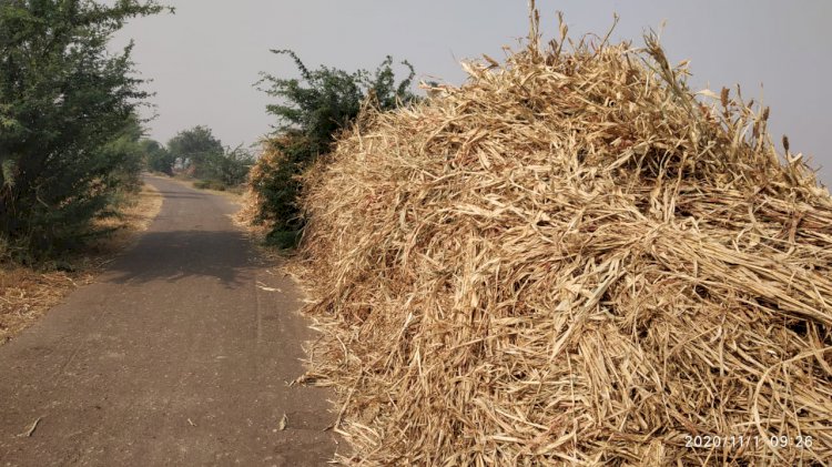 सडक मार्ग किनारे रखे कडवी के पूंज दे रहे दुर्घटनाओ को न्यौता