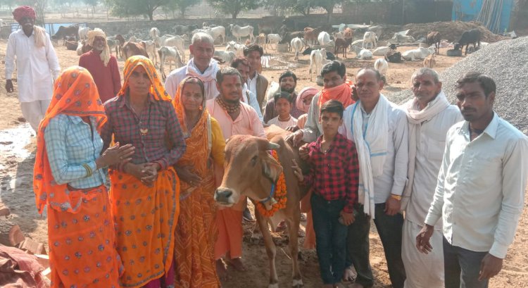 गोपाष्टमी के पावन पर्व पर गौ माता का किया पूजन