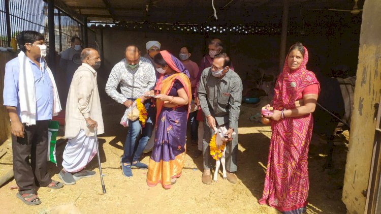 गोपाष्टमी के अवसर पर श्रद्धालुओं ने गौशाला में गौ माता की पूजा अर्चना कर प्राप्त किया  आशीर्वाद