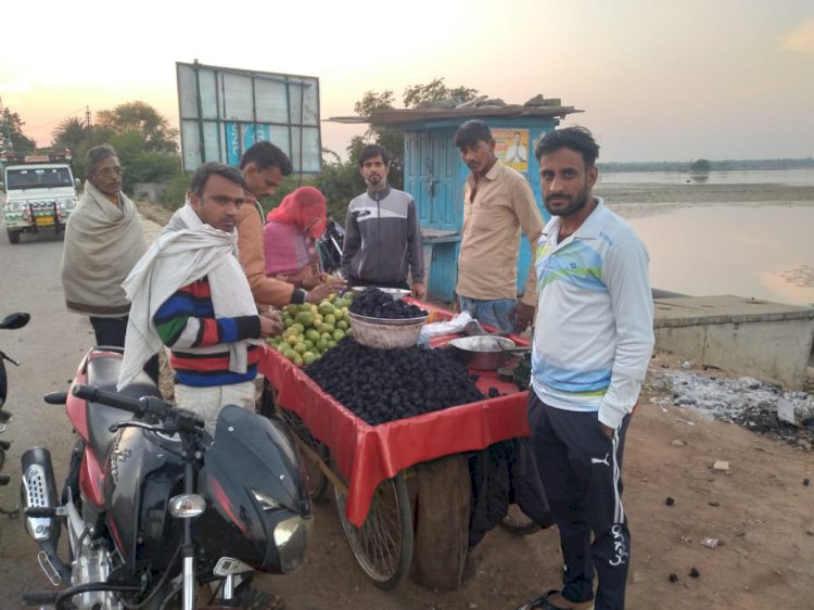 गुरला के सिंघाड़े ने बनाई खास पहचान,गुरलां के सिंघाड़े है जिलेभर में प्रसिद्ध